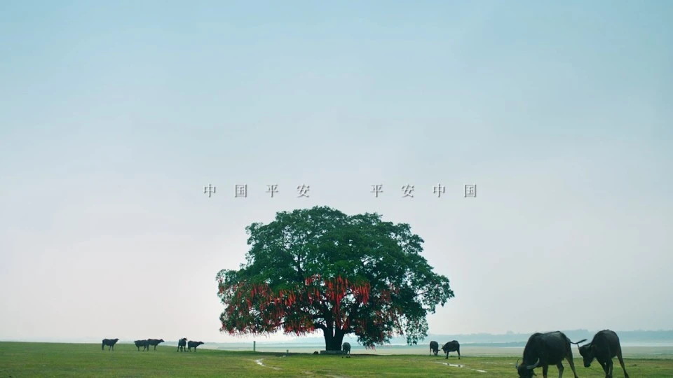 中国平安集团30周年宣传片（2018）